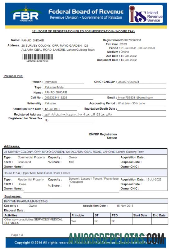 realista PAQUISTÃO FBR Conta de Serviços Públicos Word e Modelo PDF